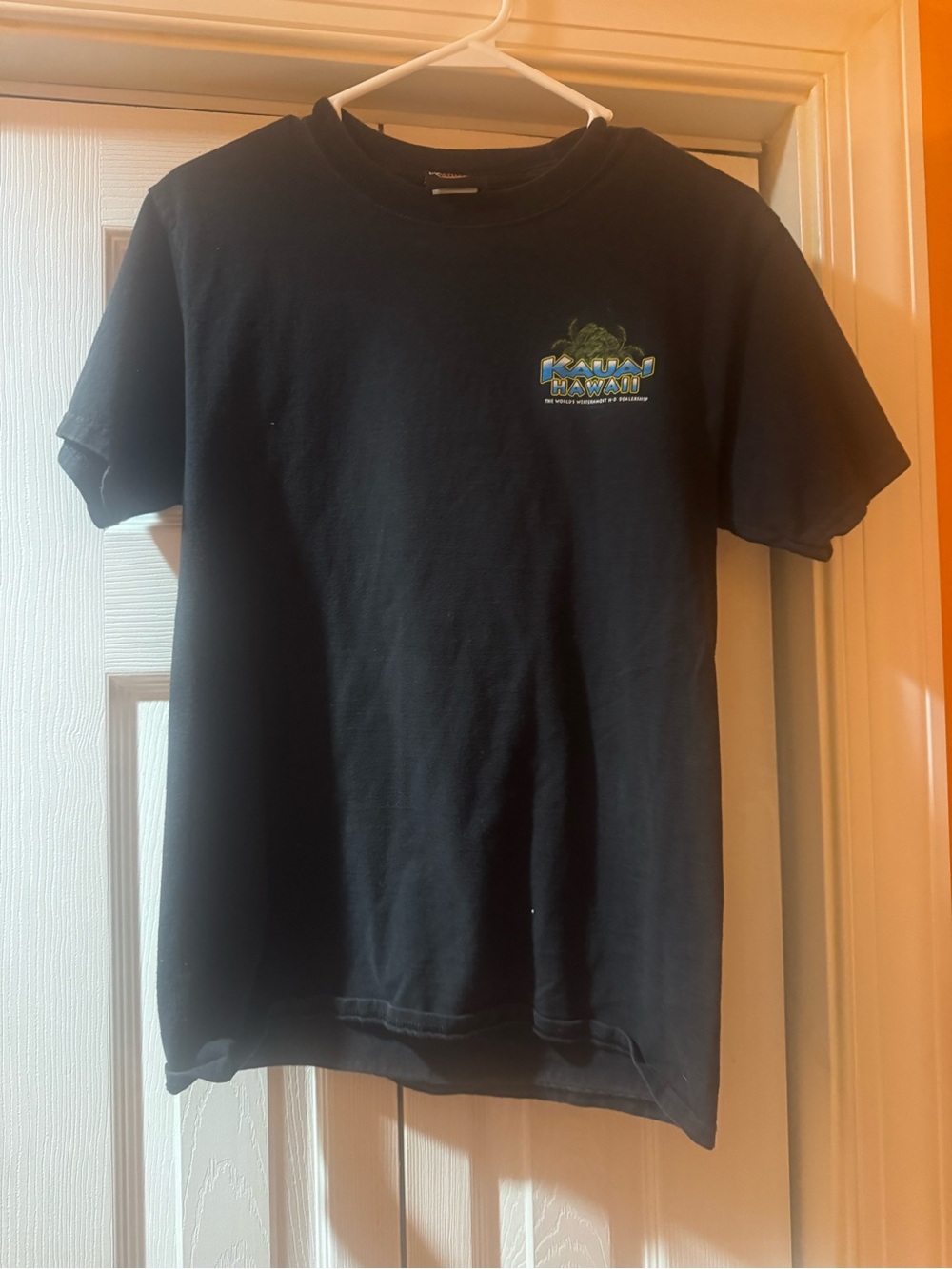 Harley-Davidson Black Short Sleeve Tee with Small Multicolor Chest Logo